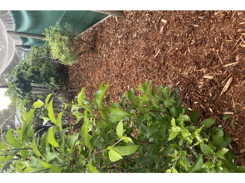 6770 Arthur Highway, Port Arthur TAS 7182