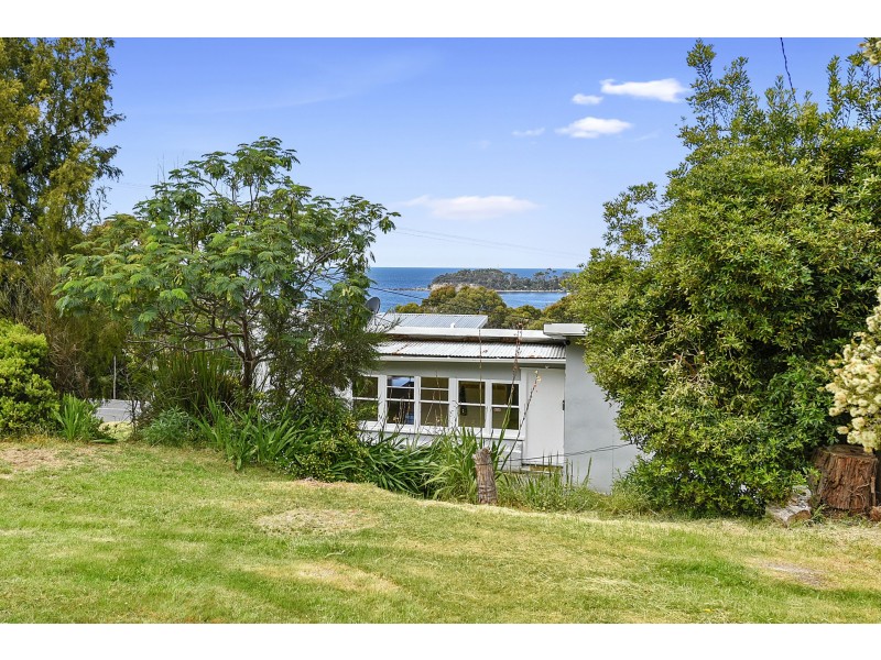 200 Blowhole Road, Eaglehawk Neck TAS 7179