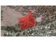 646 Primrose Sands Road, Primrose Sands TAS 7173