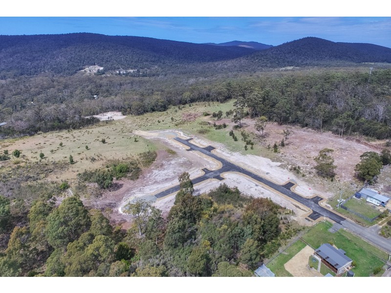 Lily Street, White Beach TAS 7184