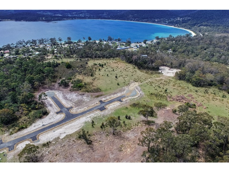Lily Street, White Beach TAS 7184