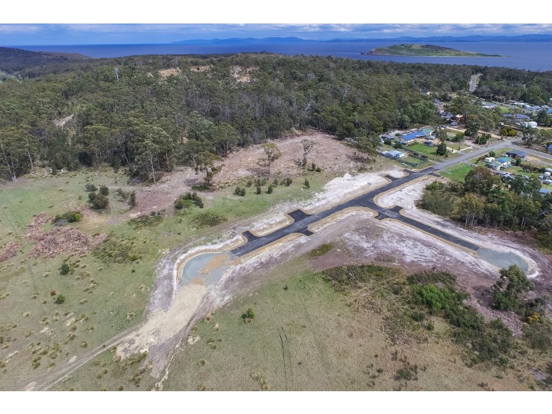 Lily Street, White Beach TAS 7184