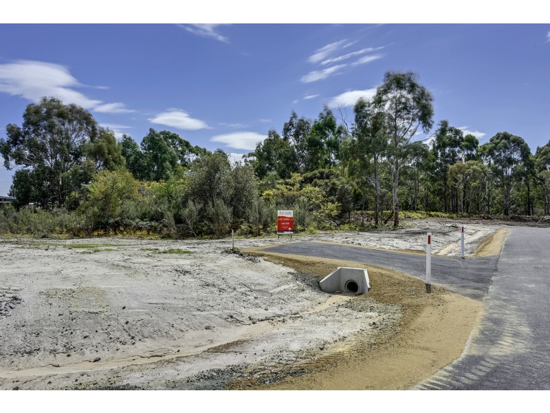 Lily Street, White Beach TAS 7184