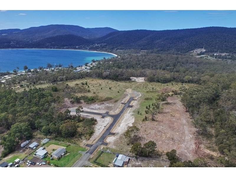Lily Street, White Beach TAS 7184