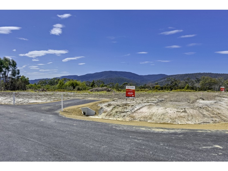 Lily Street, White Beach TAS 7184