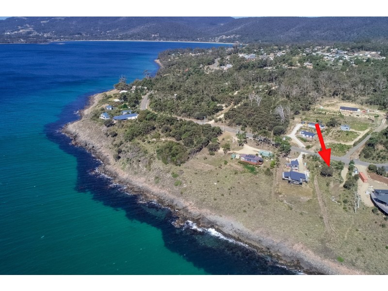 606 White Beach Road, White Beach TAS 7184