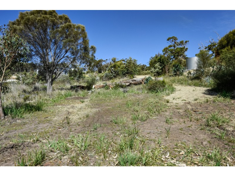 606 White Beach Road, White Beach TAS 7184