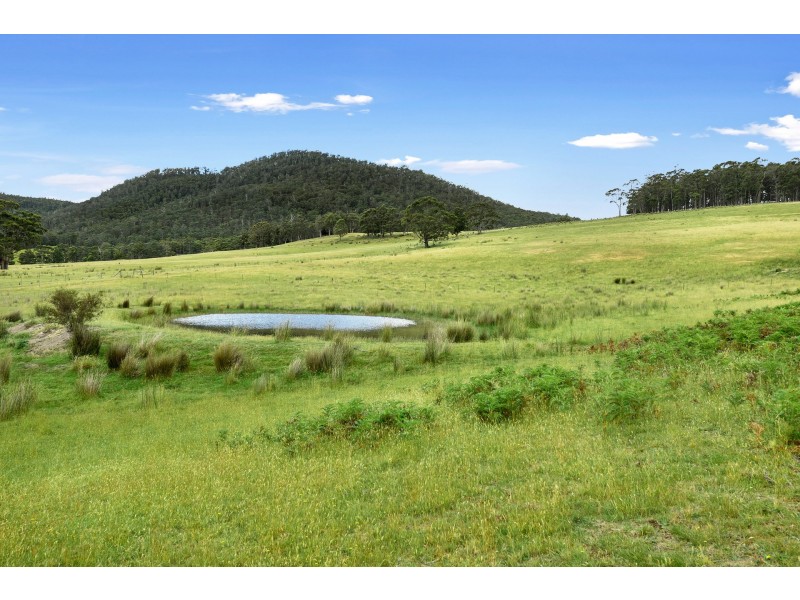 558 Kellevie Road, Kellevie TAS 7176