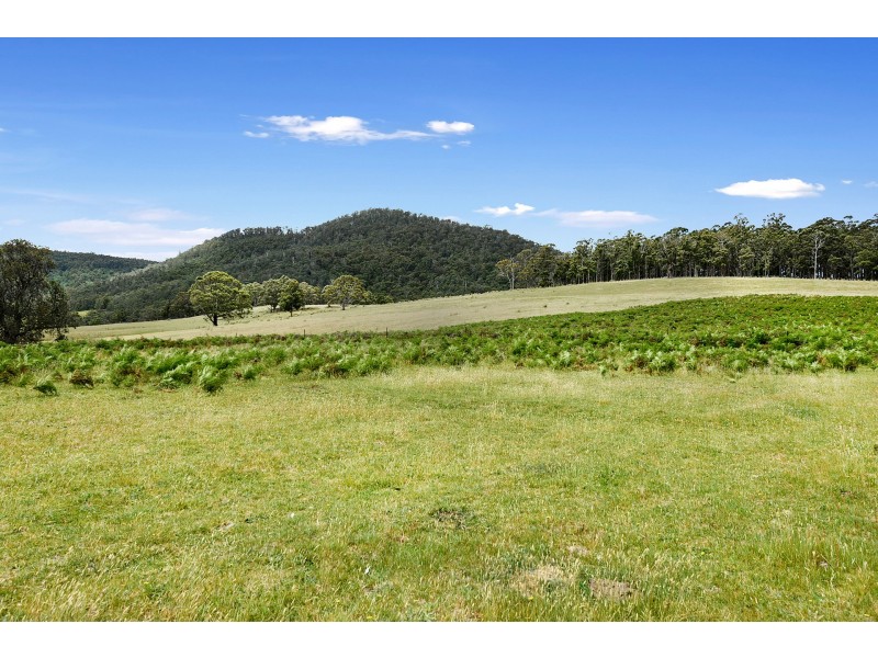 558 Kellevie Road, Kellevie TAS 7176