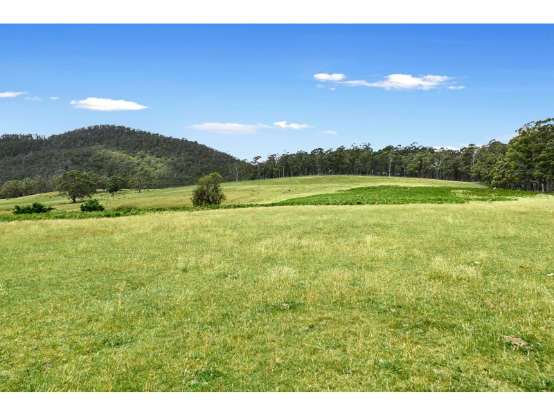 558 Kellevie Road, Kellevie TAS 7176