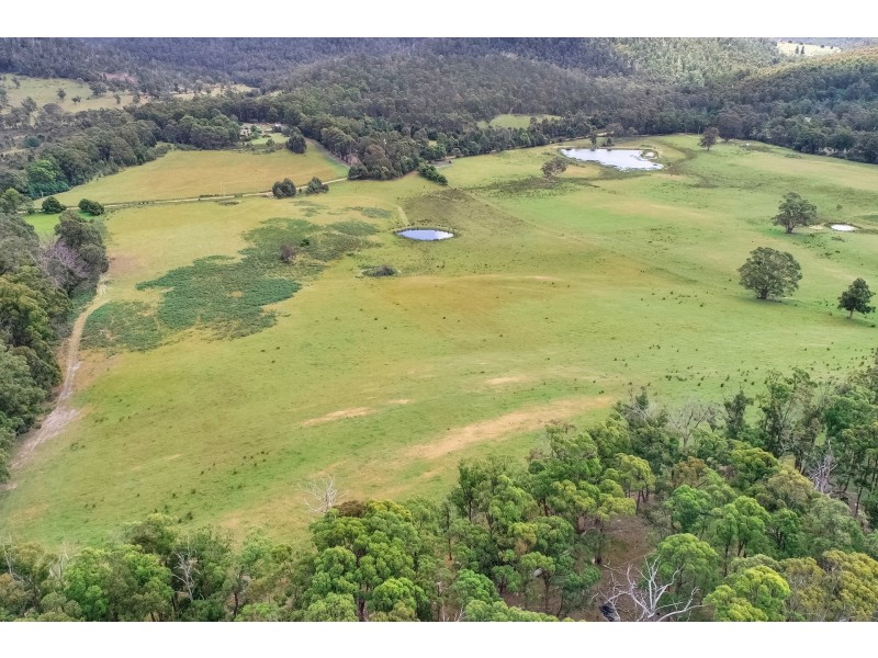 558 Kellevie Road, Kellevie TAS 7176