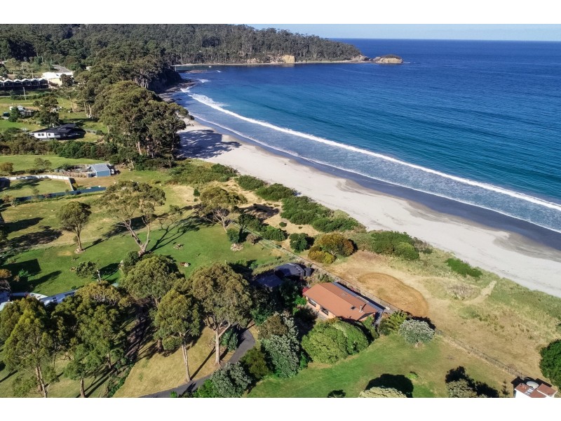 435 Pirates Bay Drive, Eaglehawk Neck TAS 7179