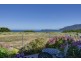 435 Pirates Bay Drive, Eaglehawk Neck TAS 7179