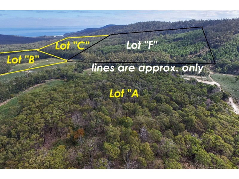 F/309 Hurdle Road, Saltwater River TAS 7186