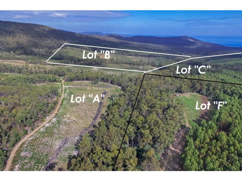 F/309 Hurdle Road, Saltwater River TAS 7186