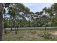 Lot 6 White Beach Road, White Beach TAS 7184