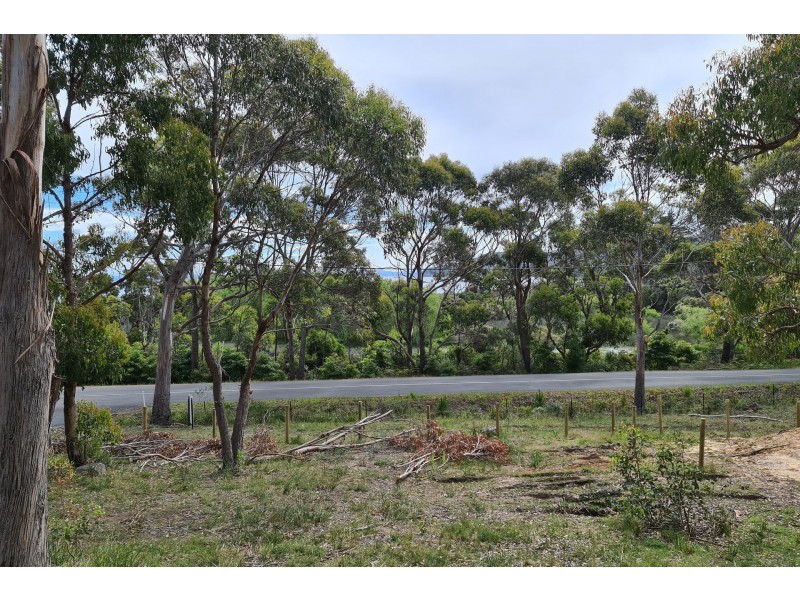Lot 6 White Beach Road, White Beach TAS 7184