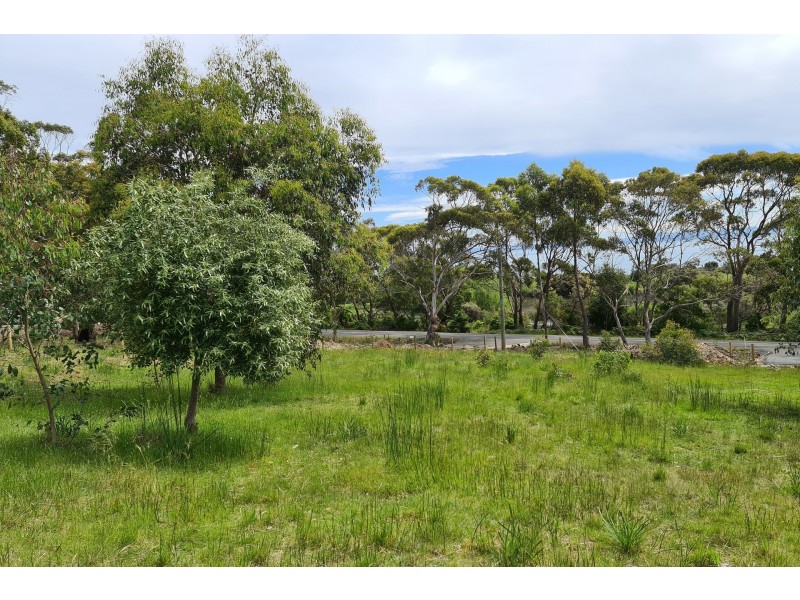 Lot 6 White Beach Road, White Beach TAS 7184