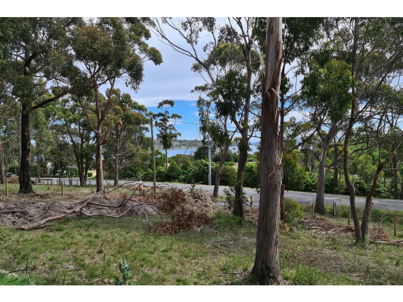 Lot 6 White Beach Road, White Beach TAS 7184