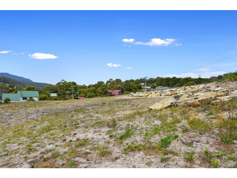 24 Ferntree Road, Eaglehawk Neck TAS 7179
