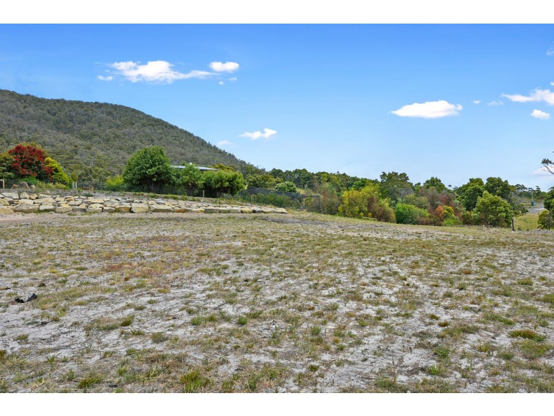 24 Ferntree Road, Eaglehawk Neck TAS 7179