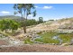 24 Ferntree Road, Eaglehawk Neck TAS 7179