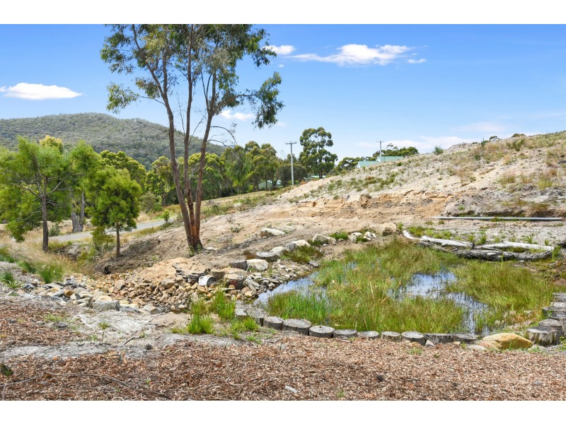 24 Ferntree Road, Eaglehawk Neck TAS 7179