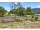 24 Ferntree Road, Eaglehawk Neck TAS 7179