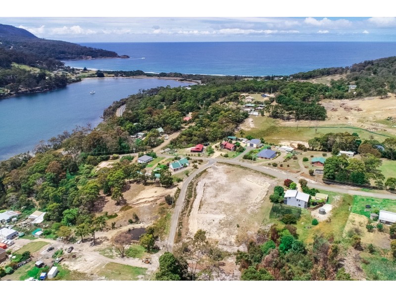 24 Ferntree Road, Eaglehawk Neck TAS 7179
