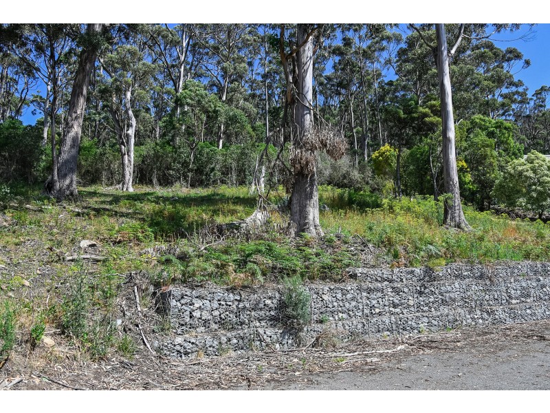 8 Hawks Lane, Eaglehawk Neck TAS 7179