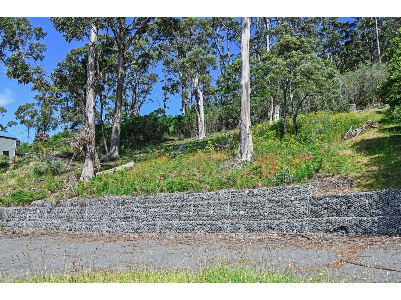8 Hawks Lane, Eaglehawk Neck TAS 7179