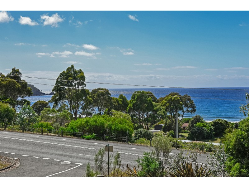 8 Hawks Lane, Eaglehawk Neck TAS 7179