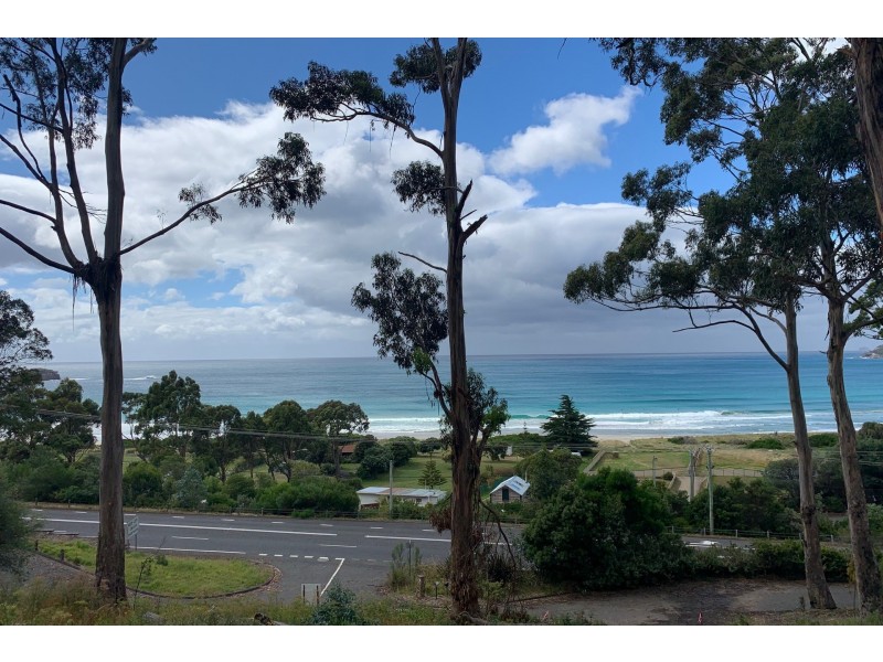 8 Hawks Lane, Eaglehawk Neck TAS 7179