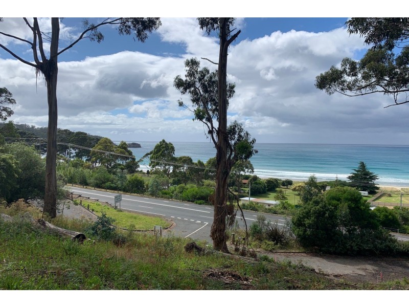 8 Hawks Lane, Eaglehawk Neck TAS 7179