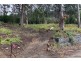 8 Hawks Lane, Eaglehawk Neck TAS 7179