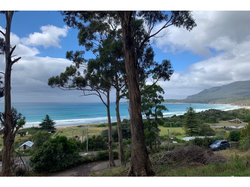 8 Hawks Lane, Eaglehawk Neck TAS 7179