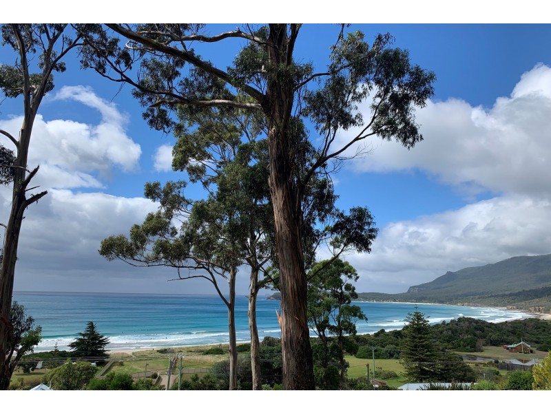 8 Hawks Lane, Eaglehawk Neck TAS 7179