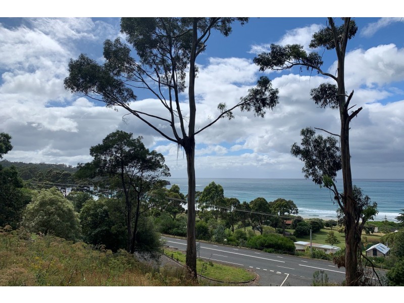 8 Hawks Lane, Eaglehawk Neck TAS 7179