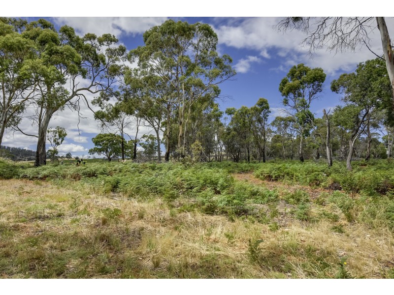 415 Primrose Sands Road, Primrose Sands TAS 7173