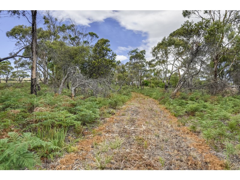 415 Primrose Sands Road, Primrose Sands TAS 7173