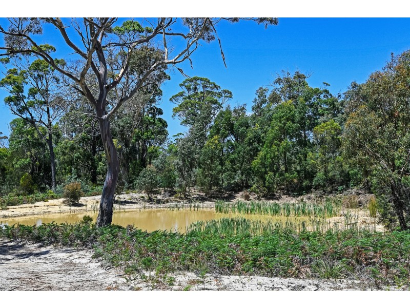 77 & 125 Heathy Hill Drive, Saltwater River TAS 7186