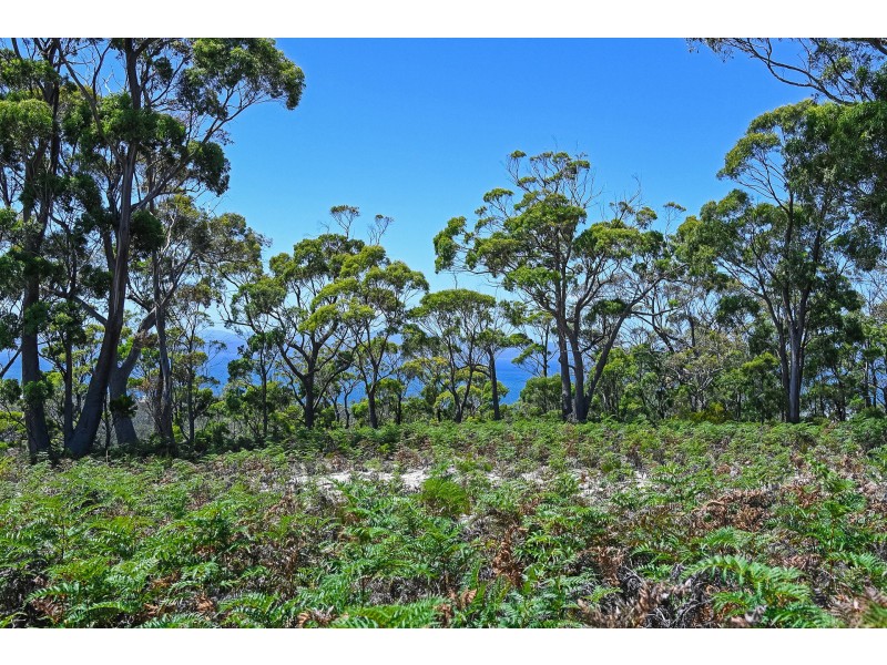 77 & 125 Heathy Hill Drive, Saltwater River TAS 7186