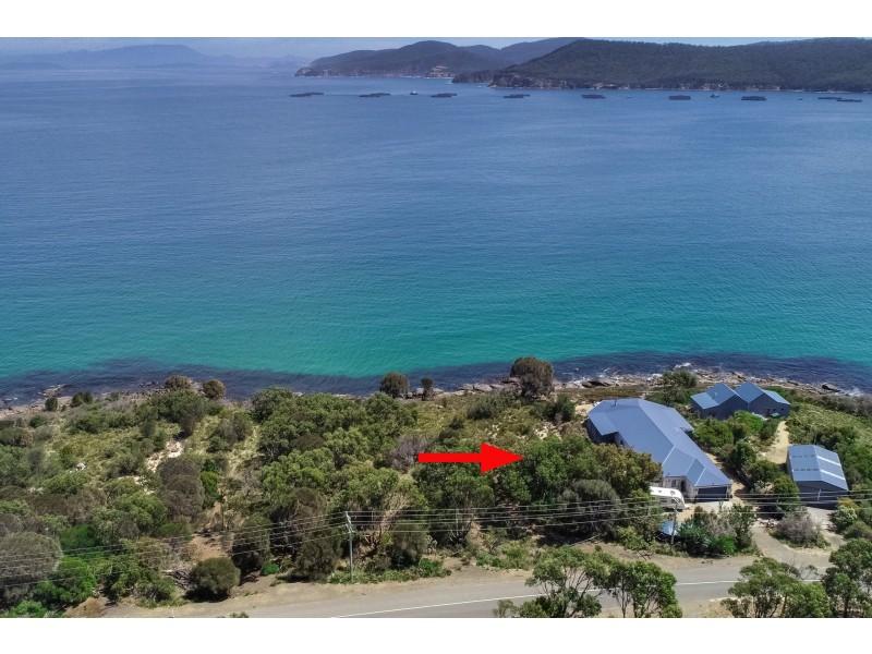 590 White Beach Road, White Beach TAS 7184