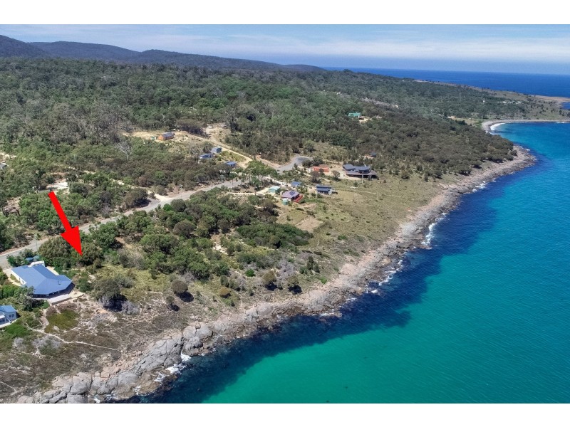 590 White Beach Road, White Beach TAS 7184