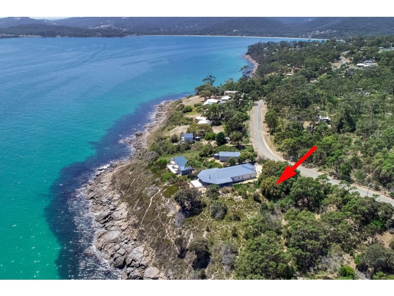 590 White Beach Road, White Beach TAS 7184