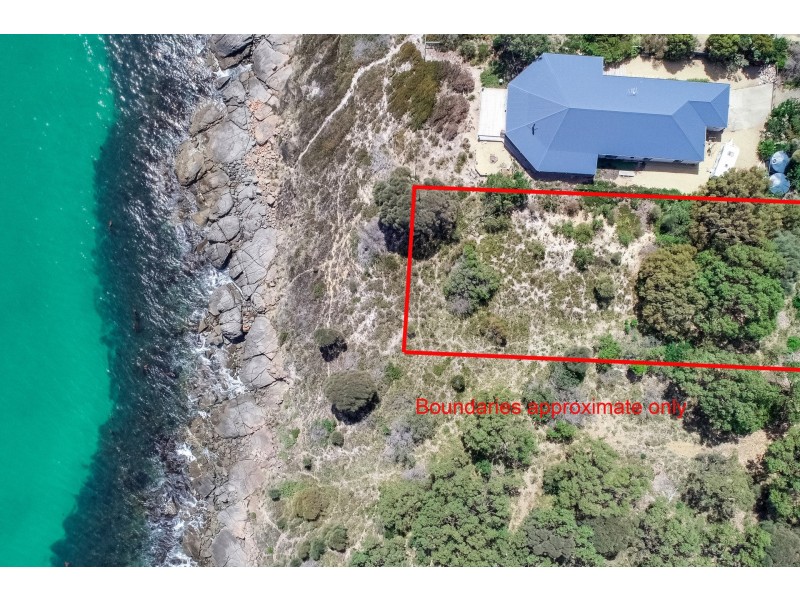 590 White Beach Road, White Beach TAS 7184