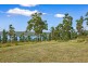 3834 Arthur Highway, Murdunna TAS 7178