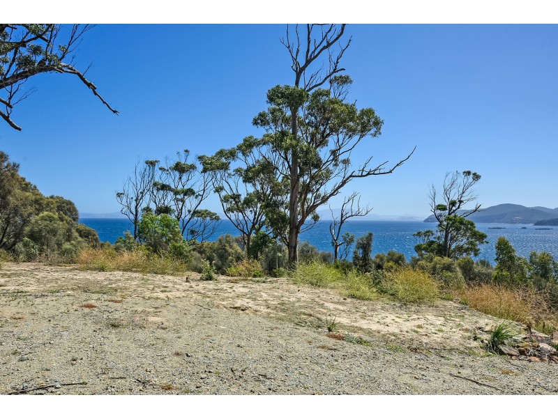 613 White Beach Road, White Beach TAS 7184