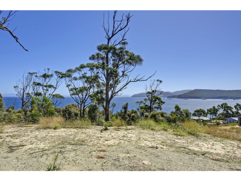 613 White Beach Road, White Beach TAS 7184