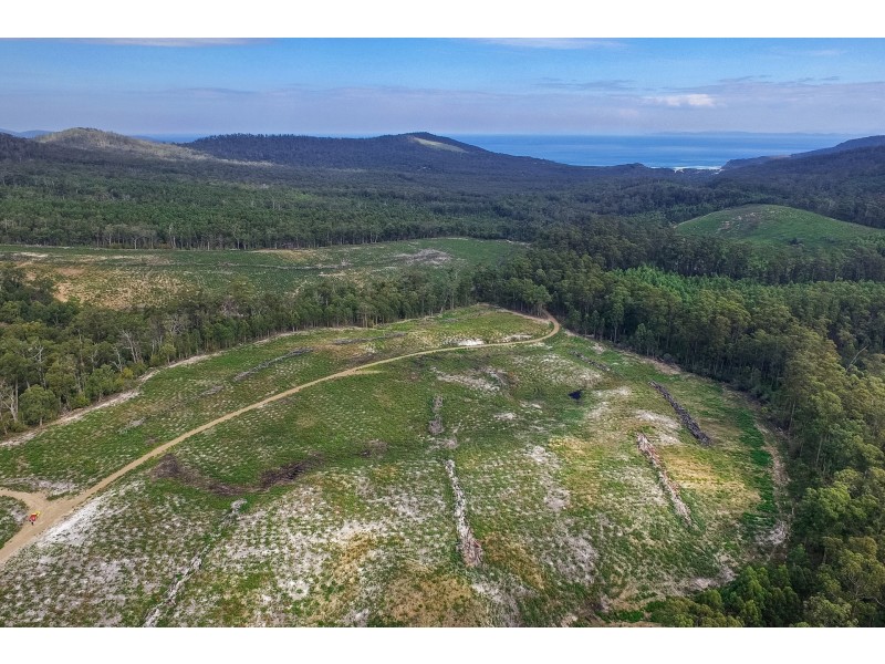 B/390 Hurdle Road, Saltwater River TAS 7186